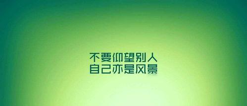 励志新闻爆料大全最新,励志新闻爆料大全最新力作  第2张 励志新闻爆料大全最新,励志新闻爆料大全最新力作  第2张